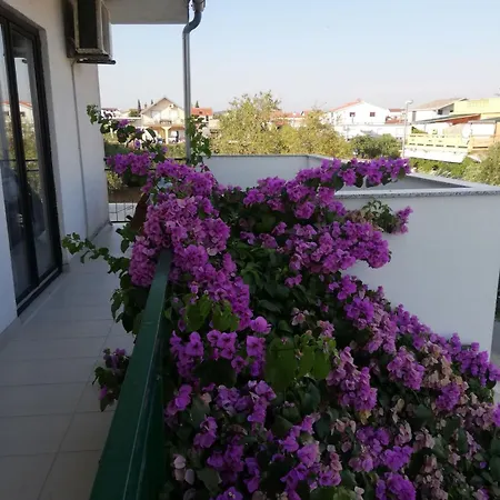 Danica Apartament